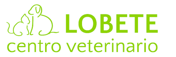 Centro Veterinario Lobete